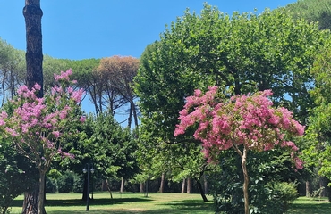 Parco Esterno - Casa Severino Fabriani